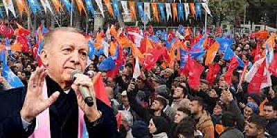 AKP'den Daha AKP'li Trollere Neşter Geliyor!